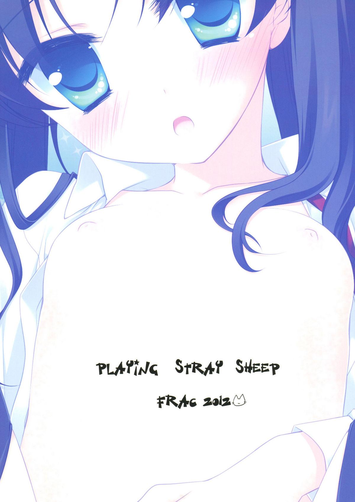 PLAYING STRAY SHEEP 29