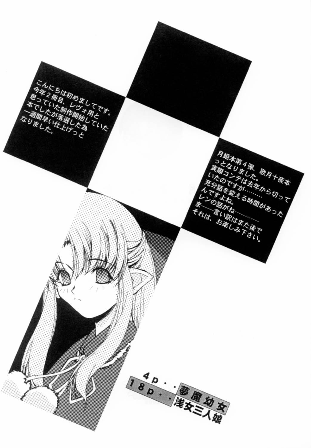 Negra Gekka Youjo - Tsukihime Free Hardcore - Page 4