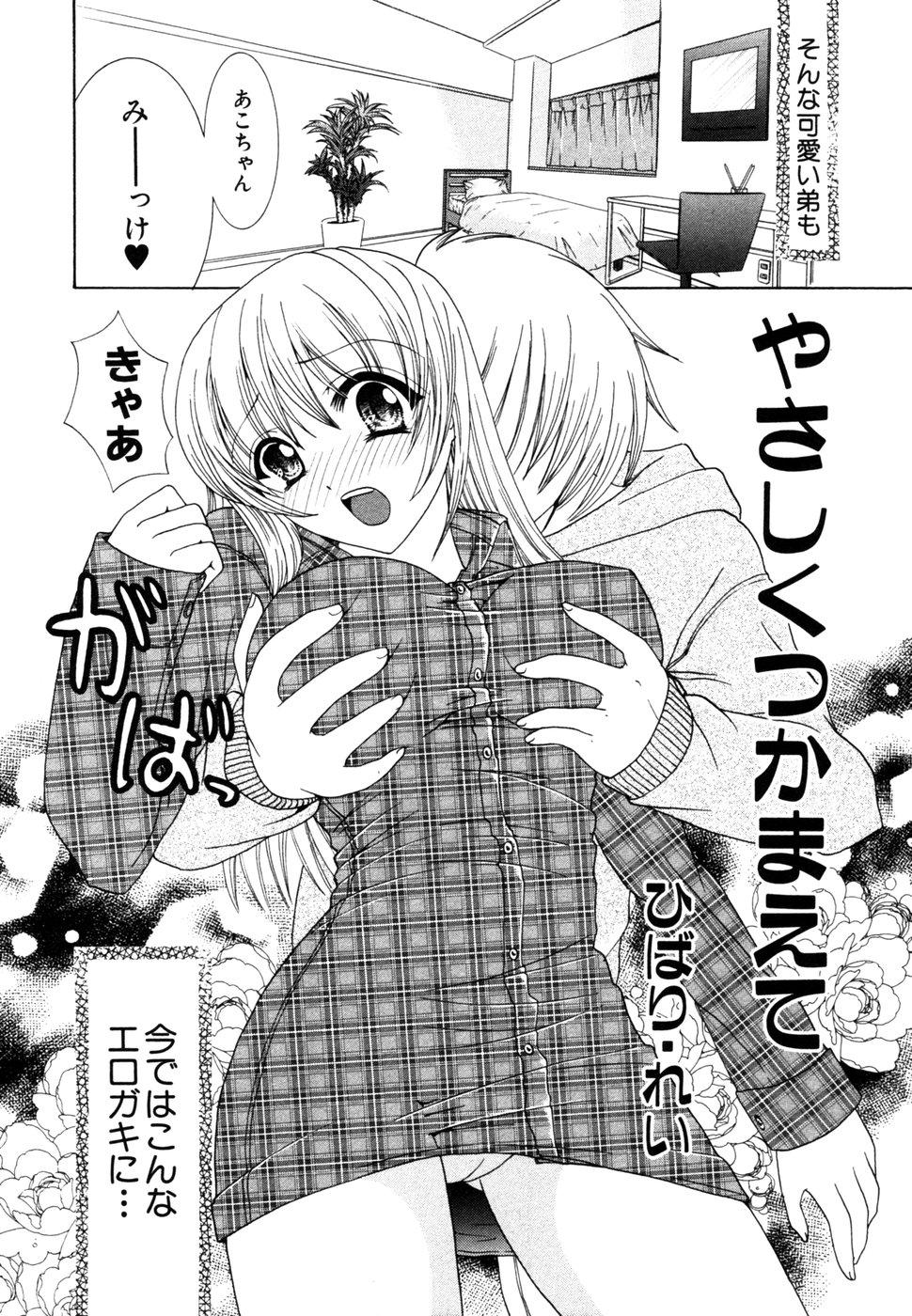 Himitsu no Tobira Vol.10 44