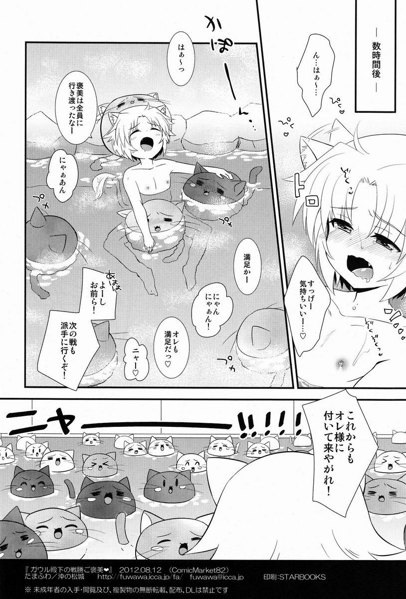 Lesbian Gaul-denka no Senshou go Houbi - Dog days Car - Page 25