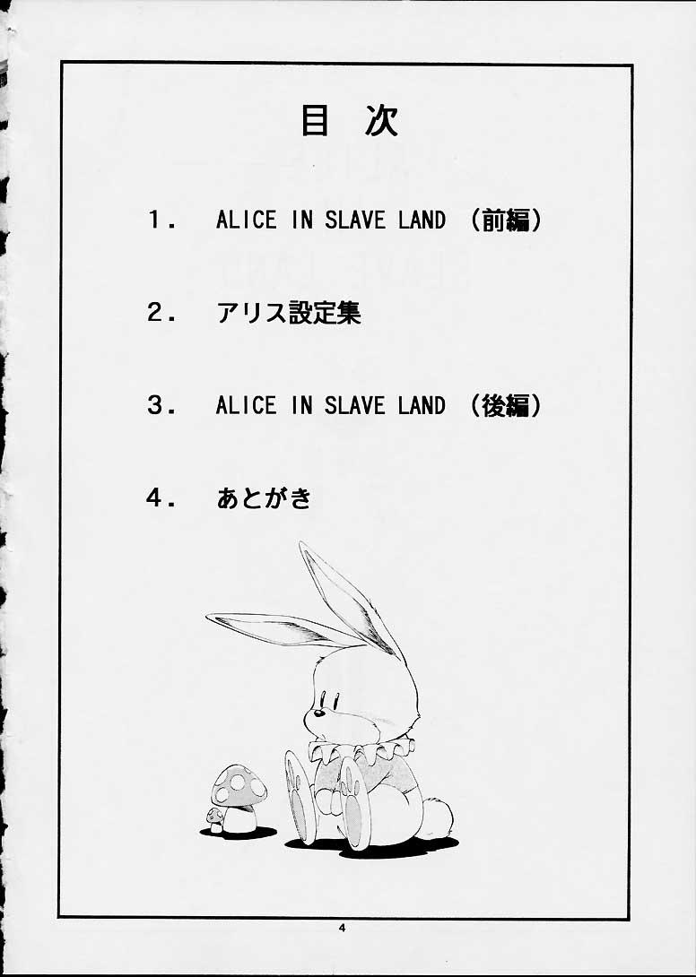 ALICE IN SLAVE LAND 2
