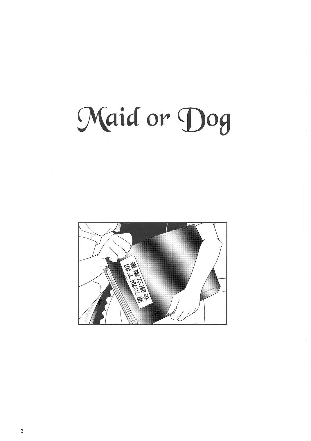 Milfsex Maid or Dog - Touhou project Hand - Page 2