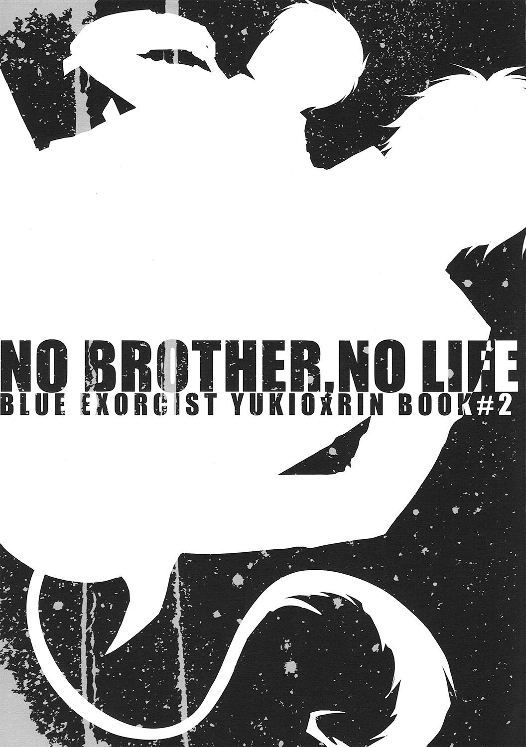 No Brother, No Life 2