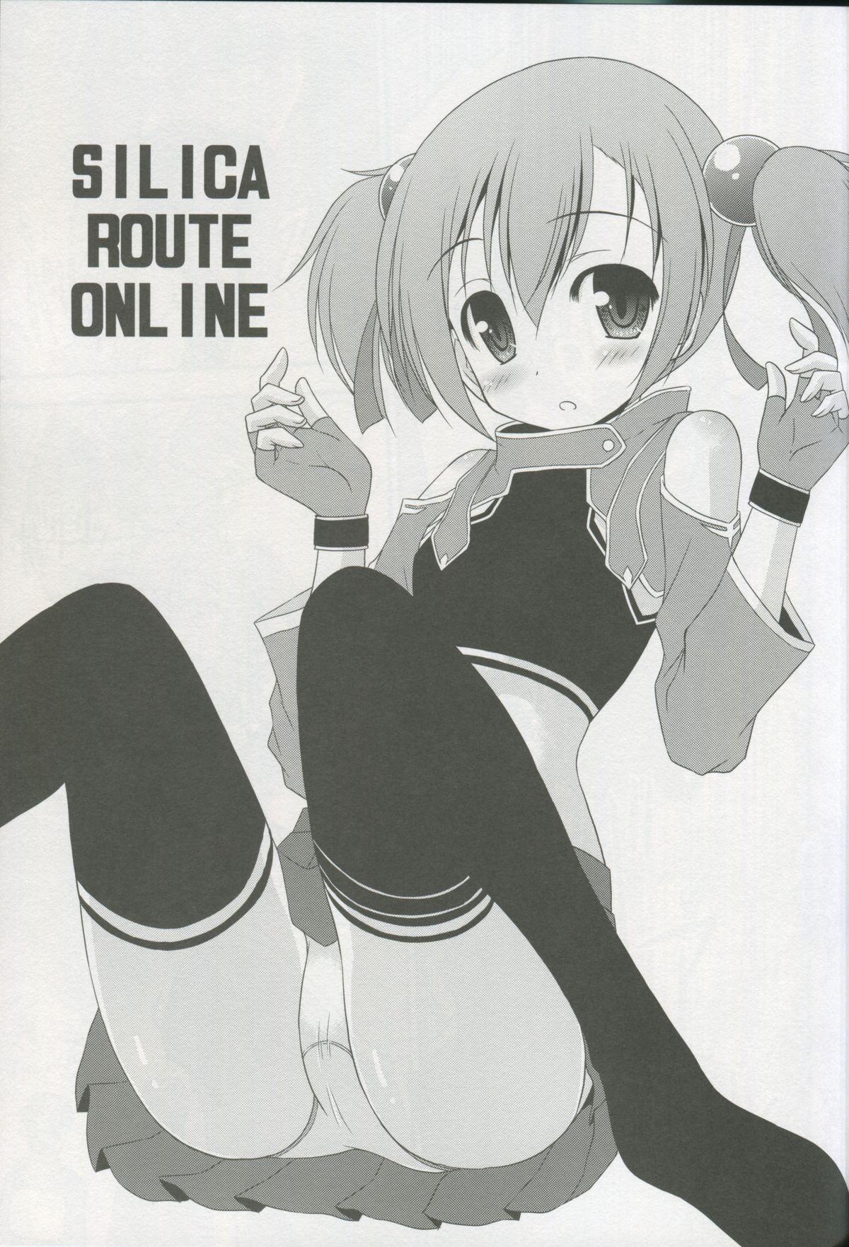 Gay Solo Silica Route Online - Sword art online Cumshot - Page 2