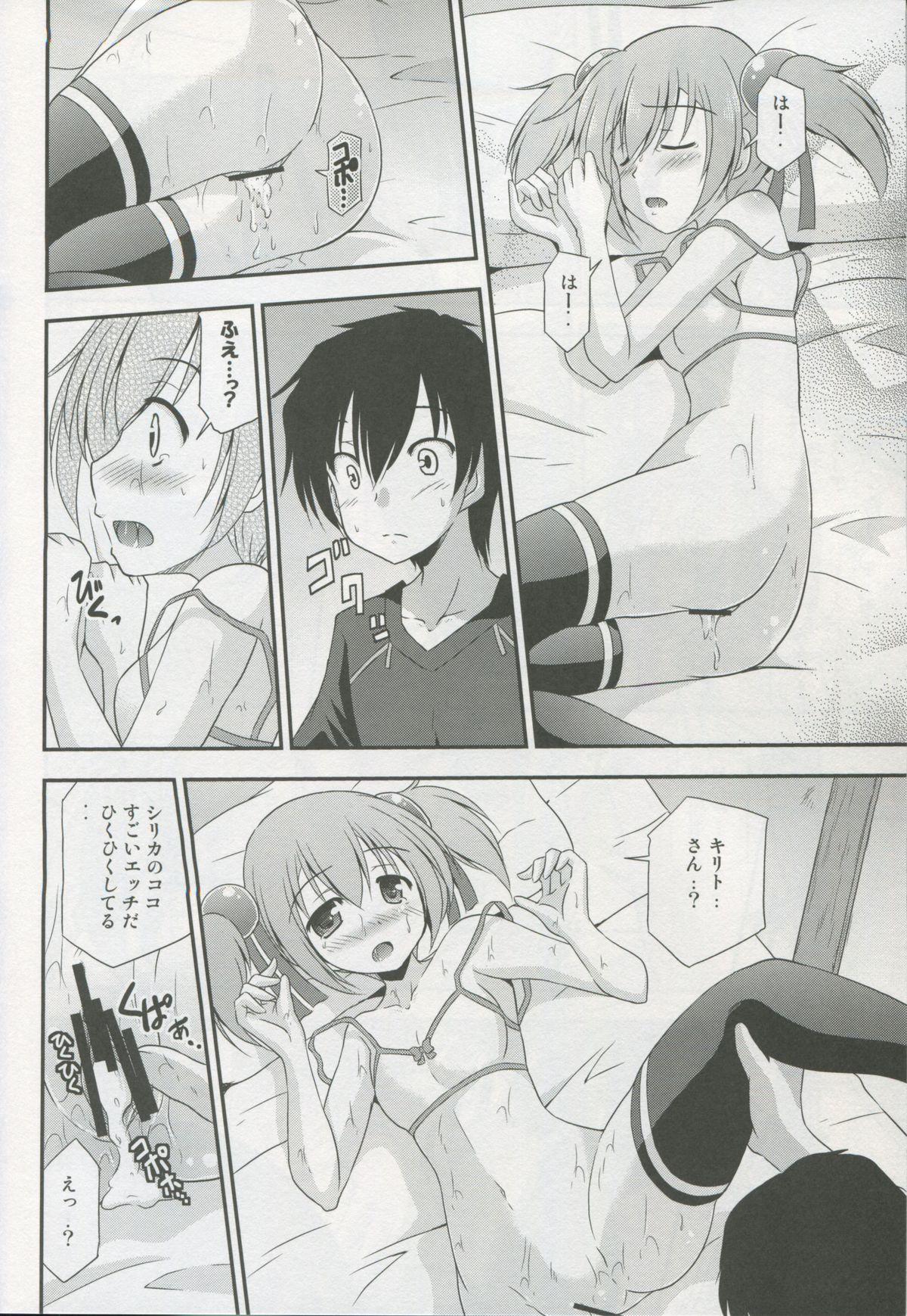Silica Route Online 21