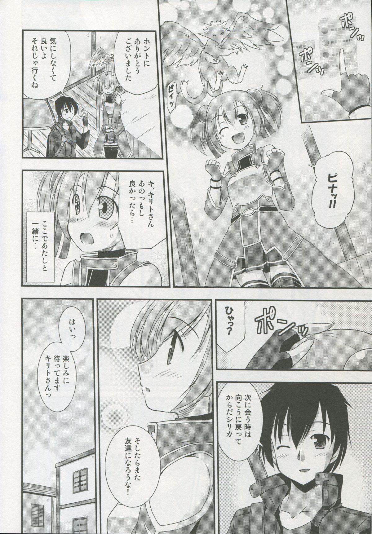 Silica Route Online 25