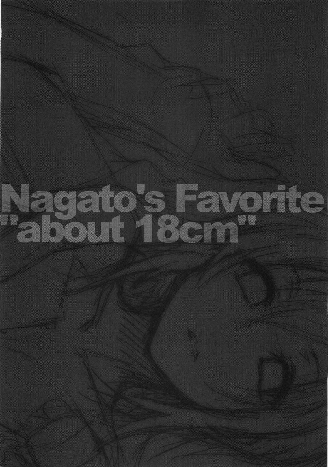 Nagato's Favorite ''about 18cm'' 14