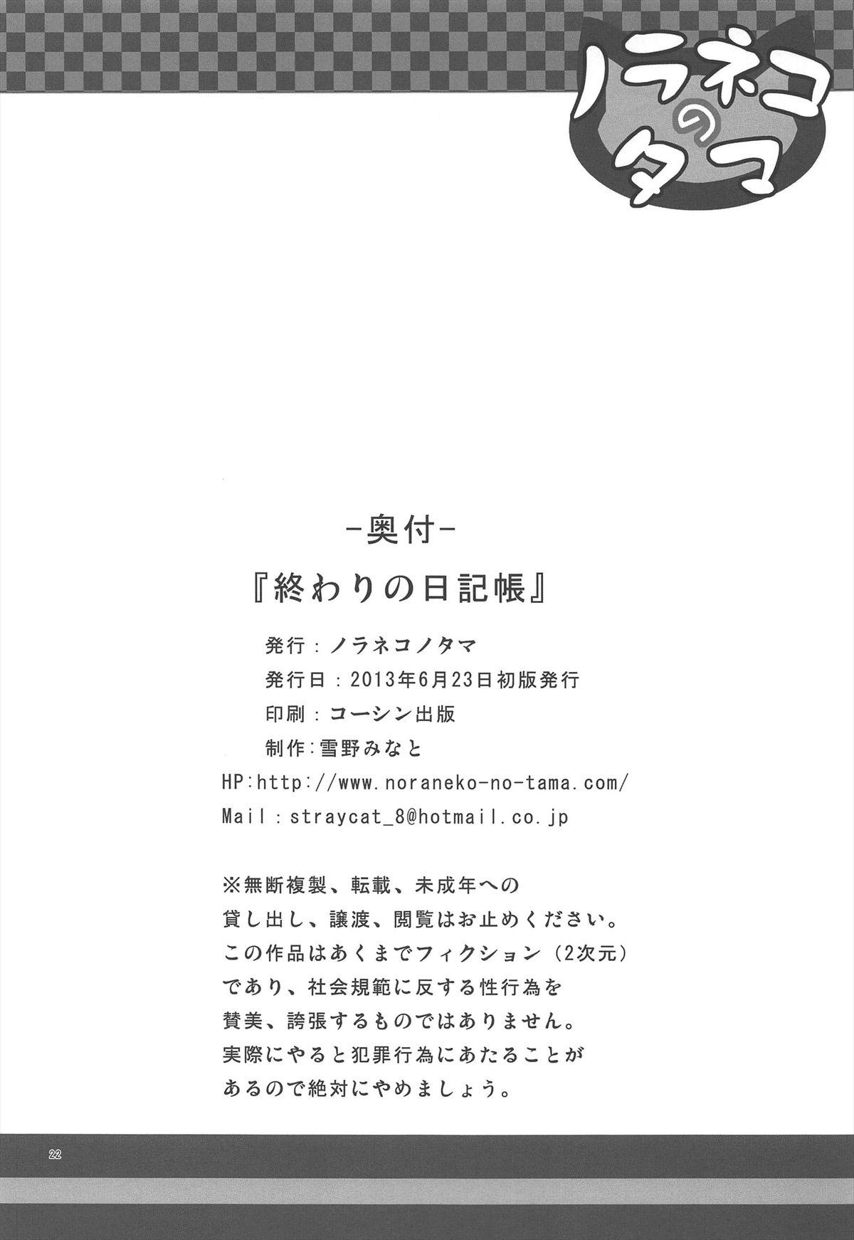 Pasivo Owari no Nikkichou English - Page 22