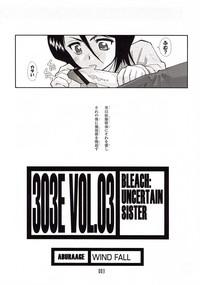 303e Vol.03: Bleach Edition - Bleach: Uncertain Sister 2