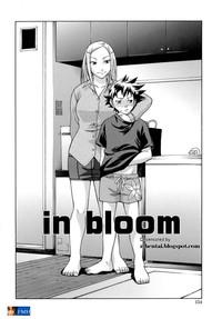 In Bloom 1