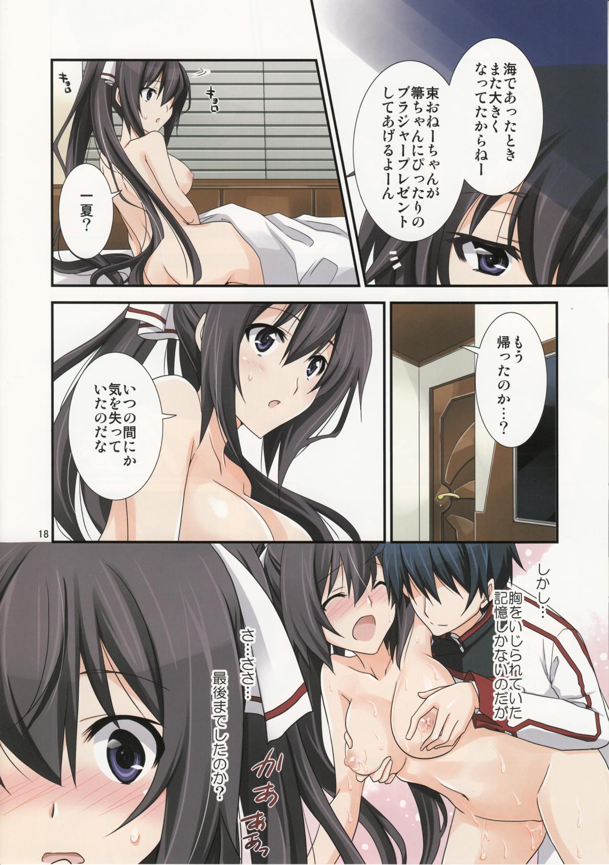 Burst Up! Infinite Stratos FAN BOOK 16